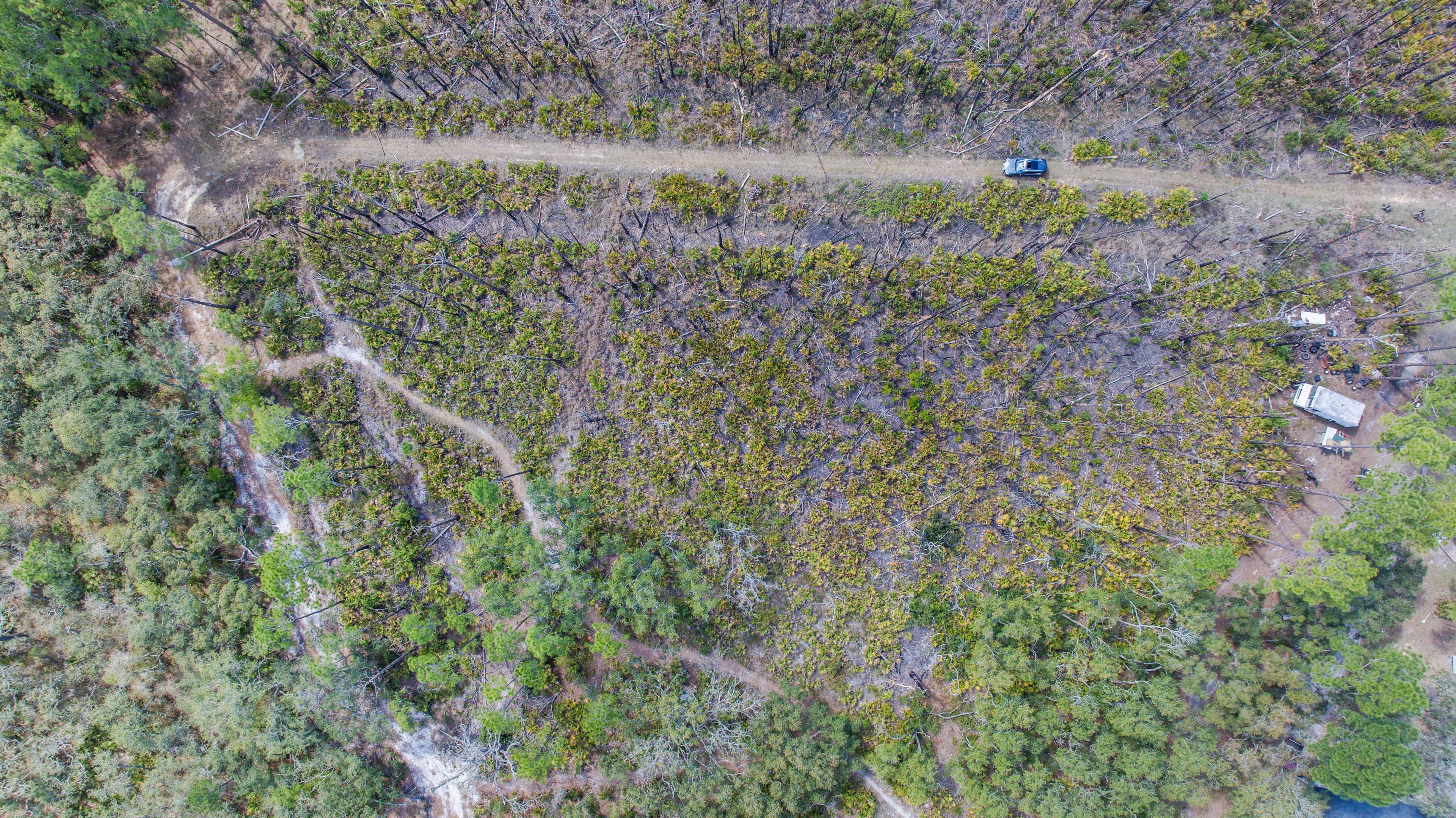 0.22 acres in Putnam County, Florida — item 6