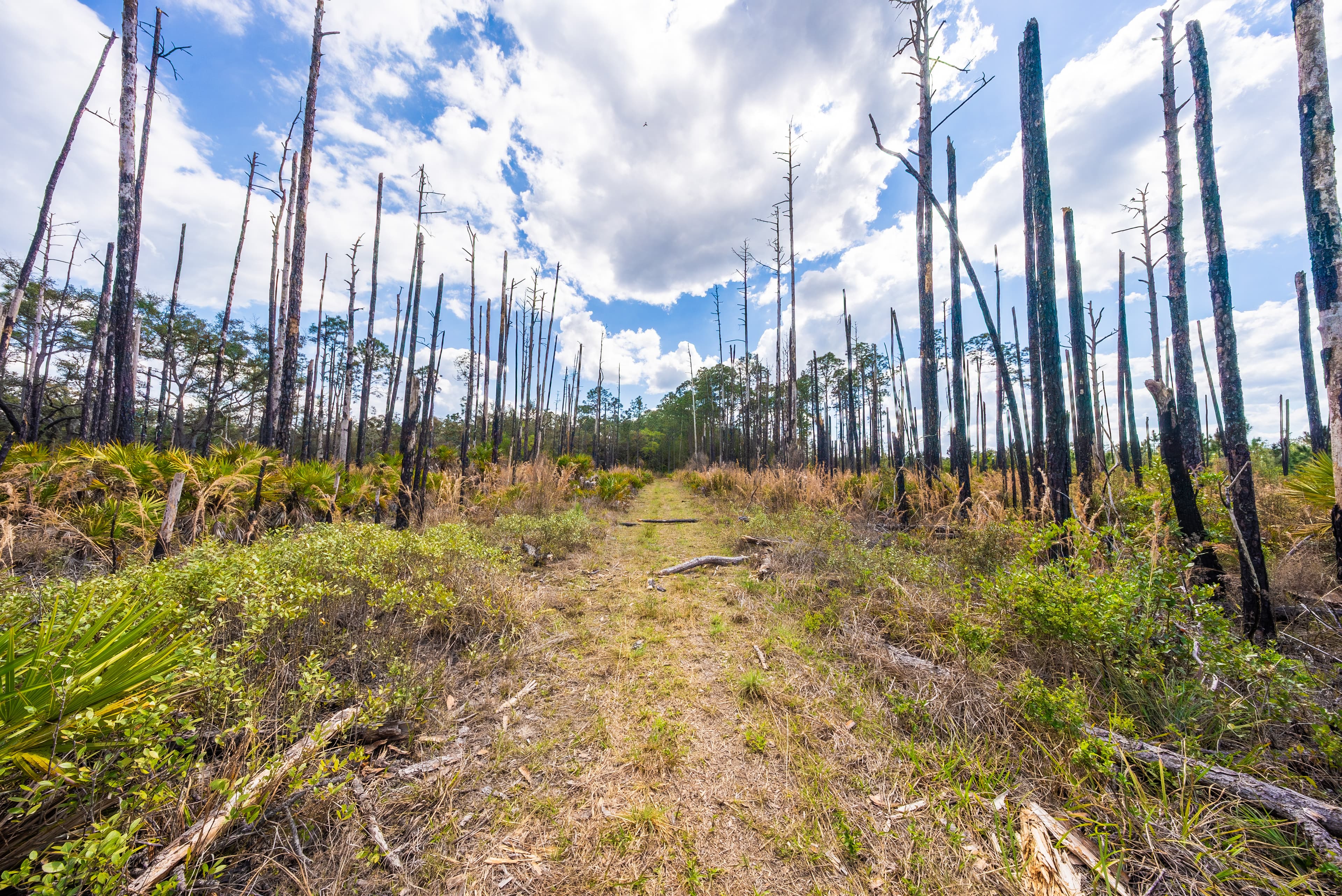 0.22 acres in Putnam County, Florida — item 8