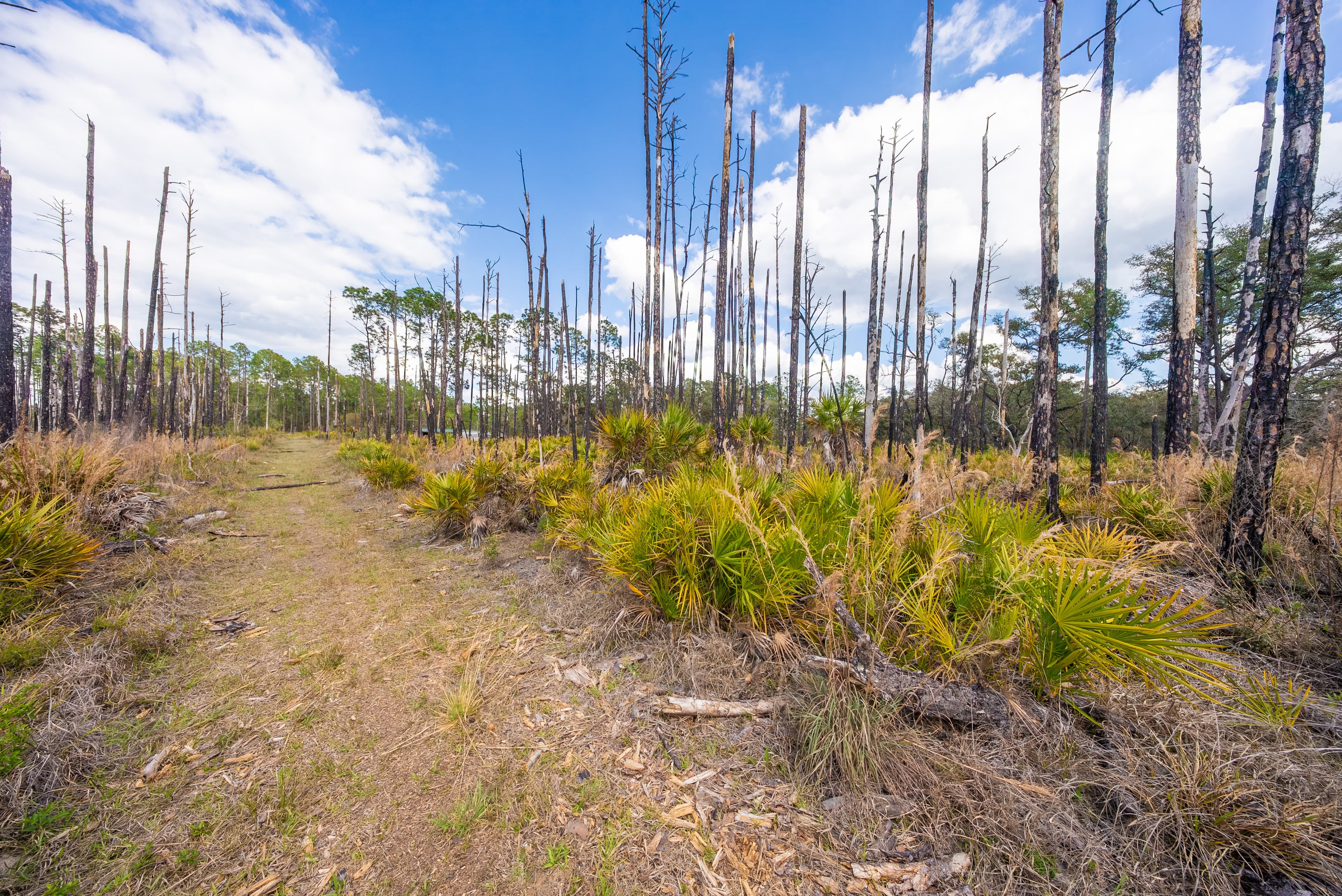 0.22 acres in Putnam County, Florida — item 10