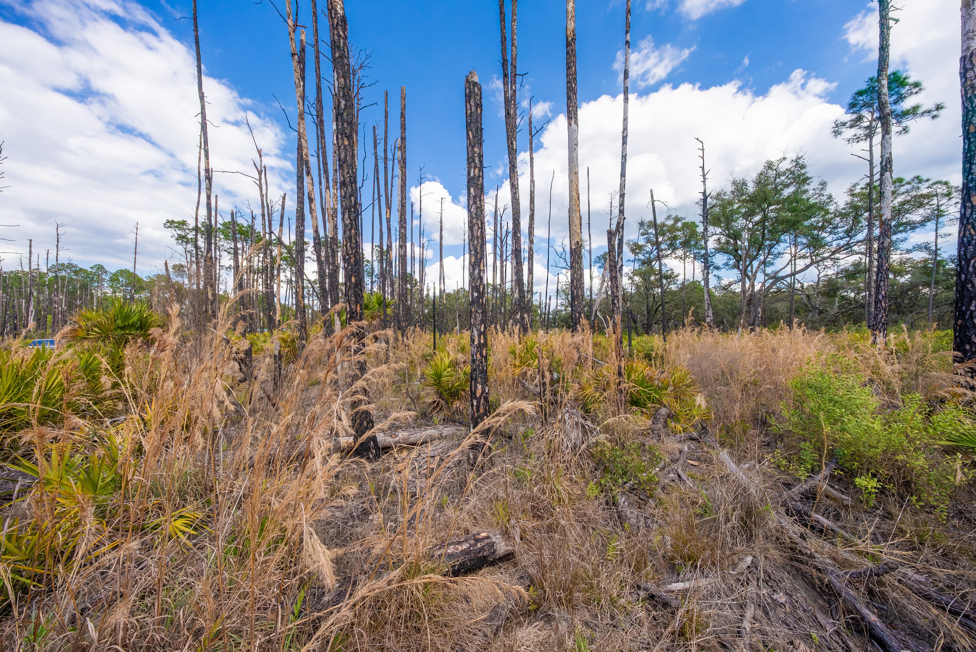 0.22 acres in Putnam County, Florida — item 11