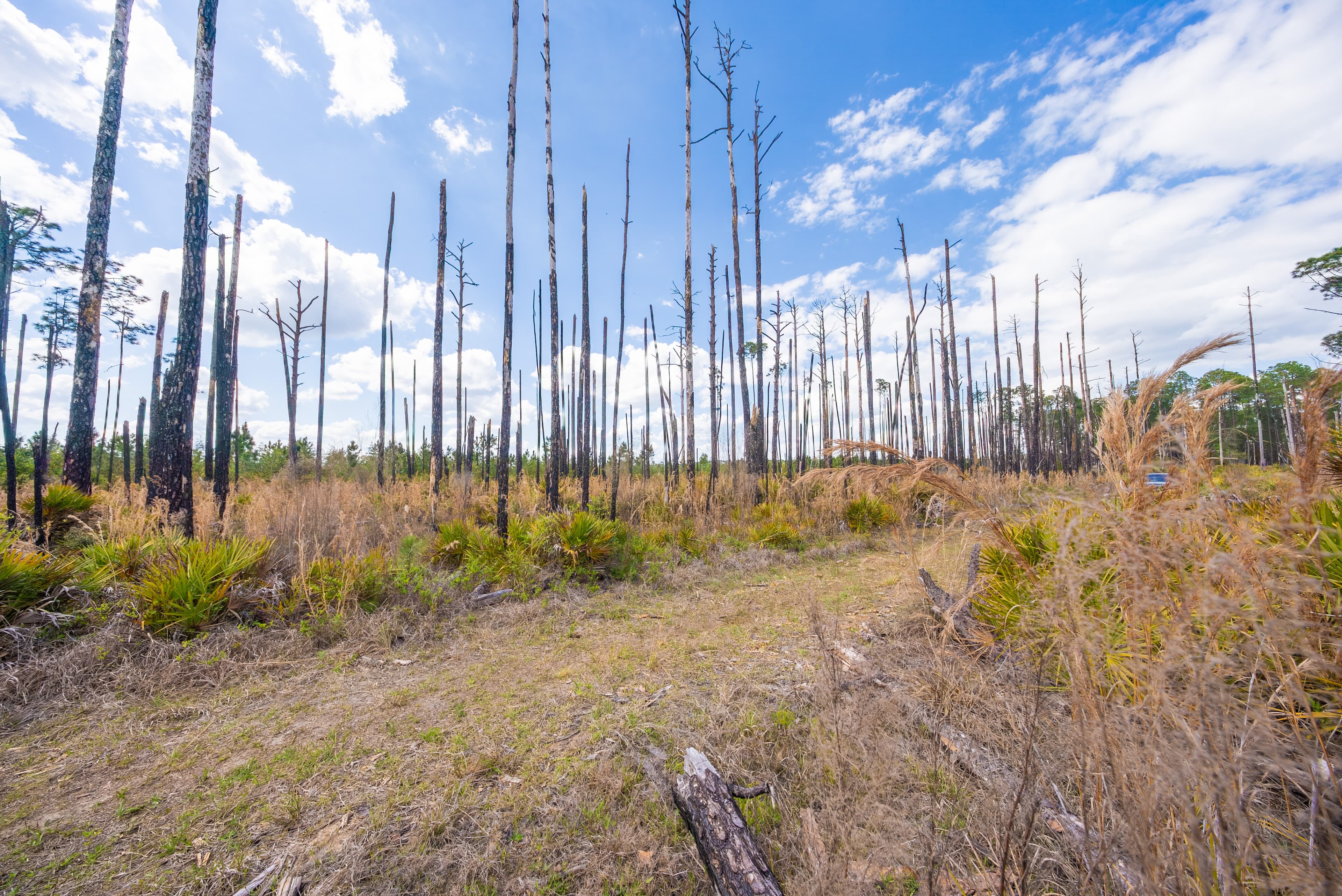 0.22 acres in Putnam County, Florida — item 13