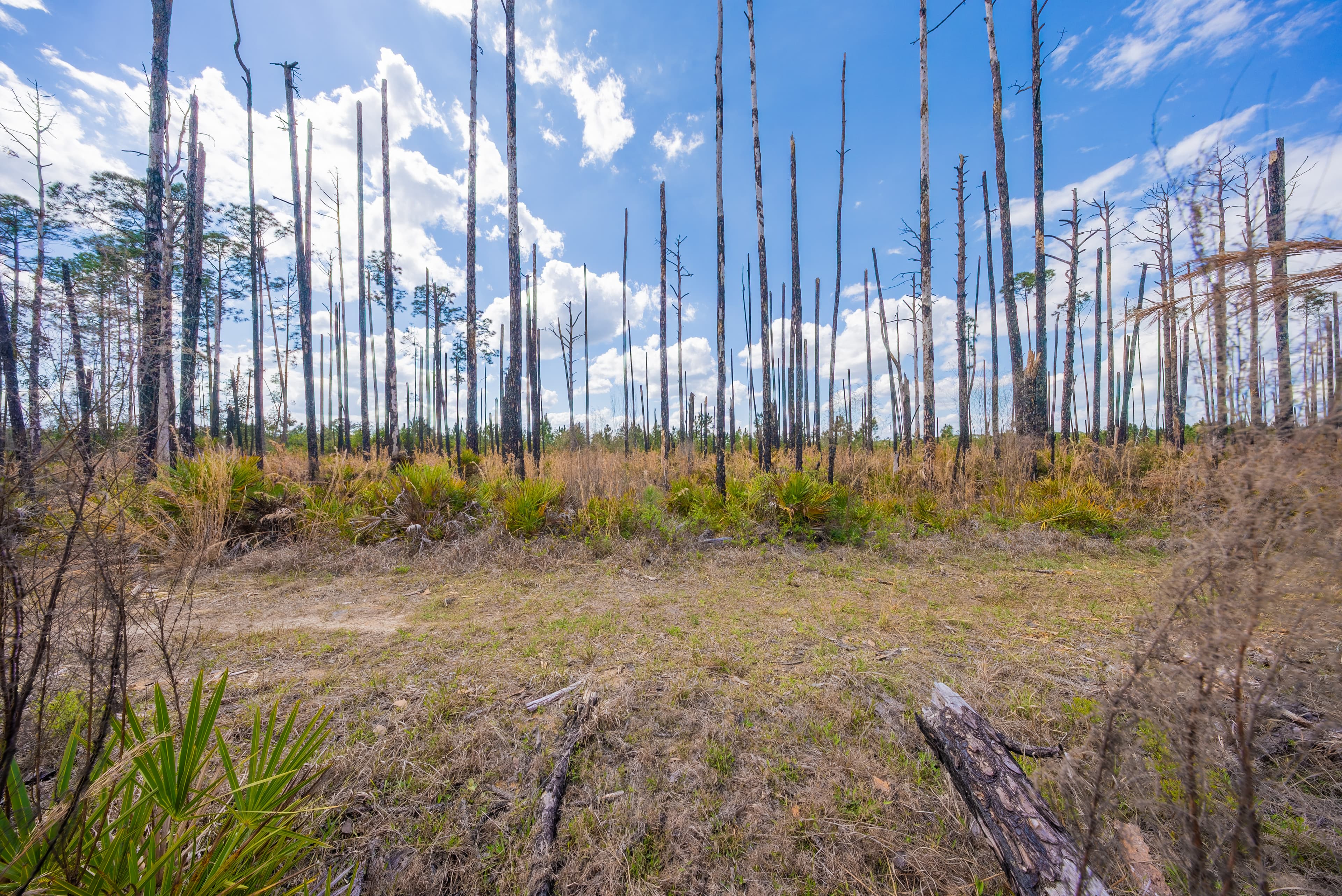 0.22 acres in Putnam County, Florida — item 14