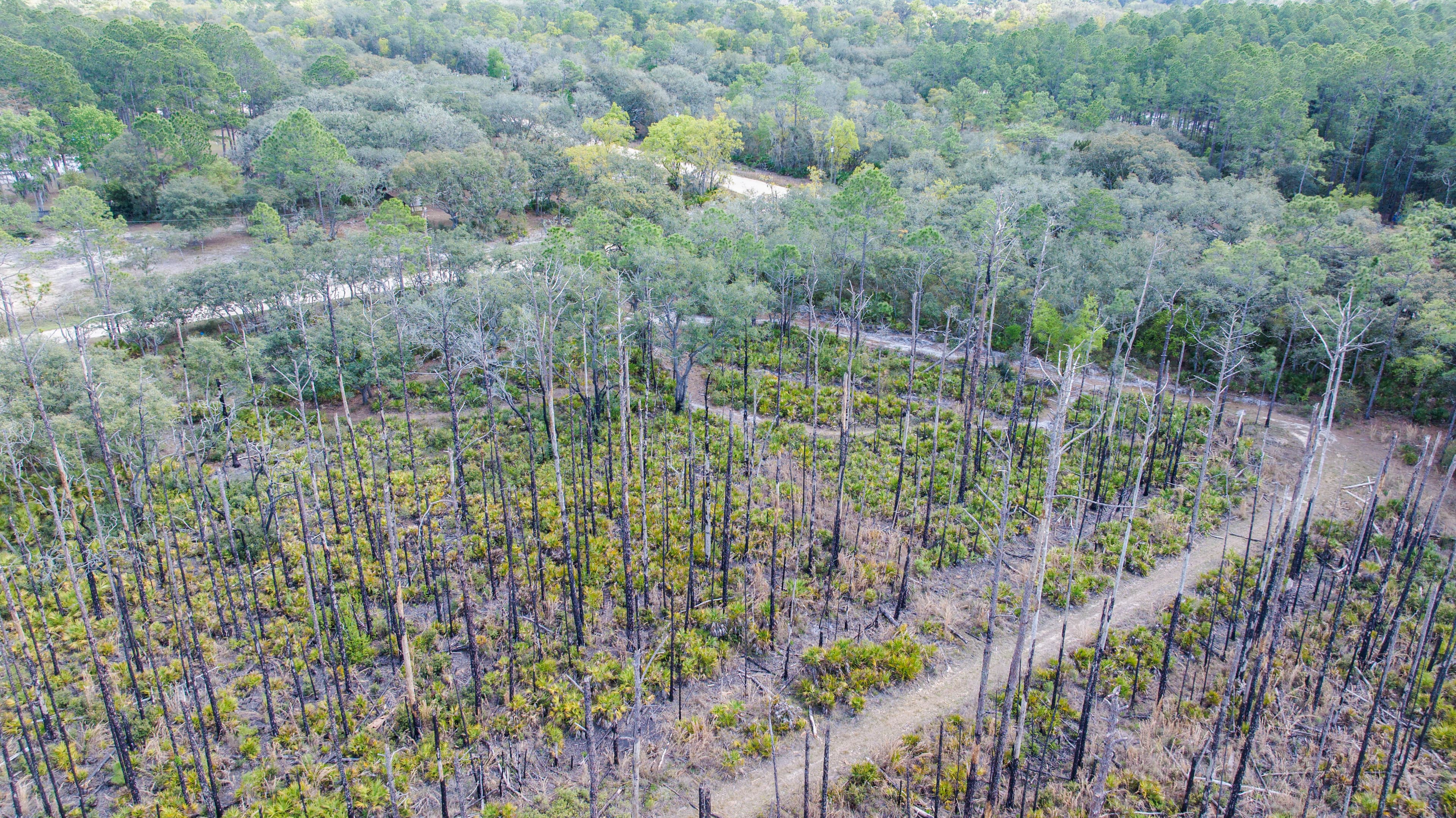 0.22 acres in Putnam County, Florida — item 16