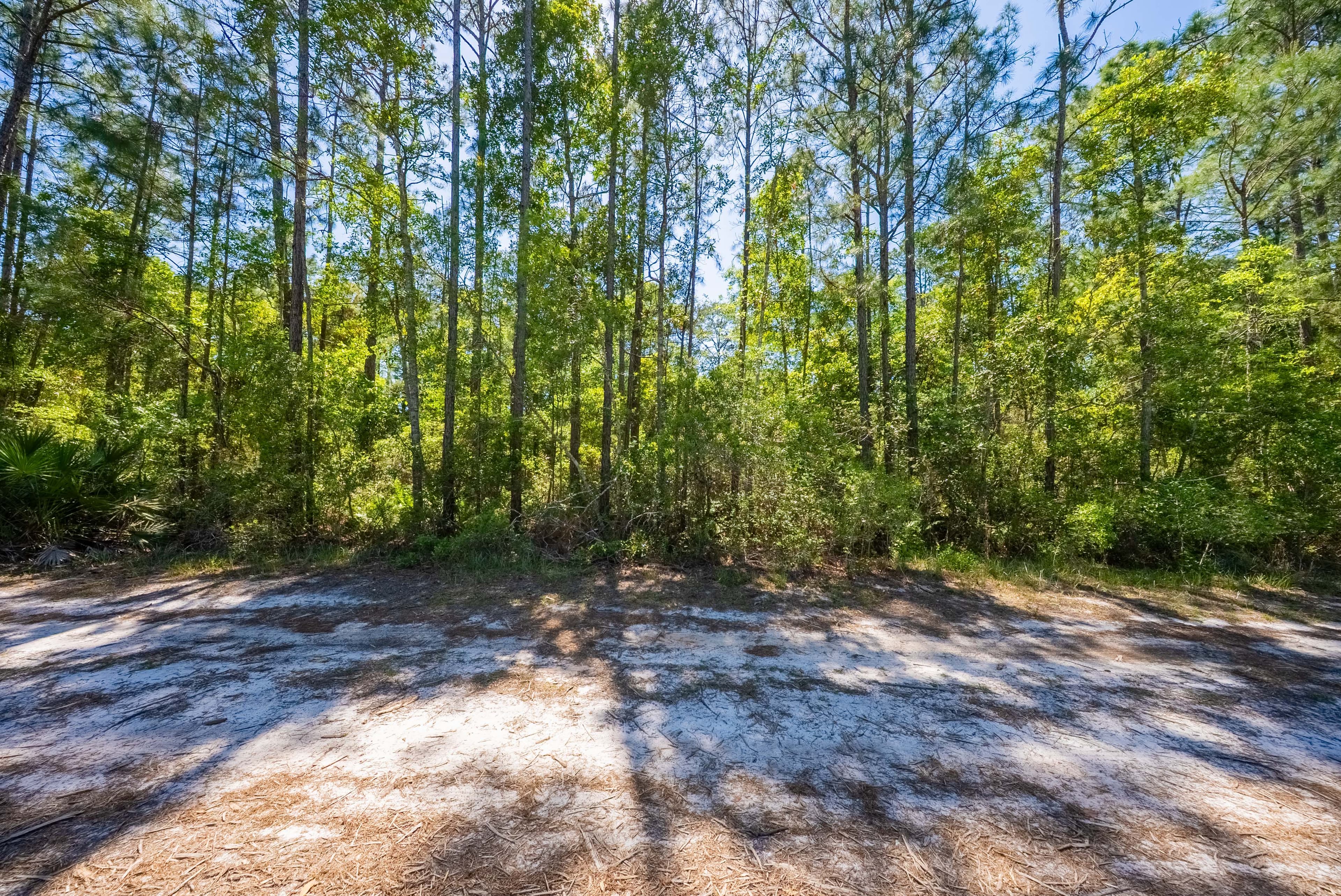0.23 acres in Putnam County, Florida — item 17