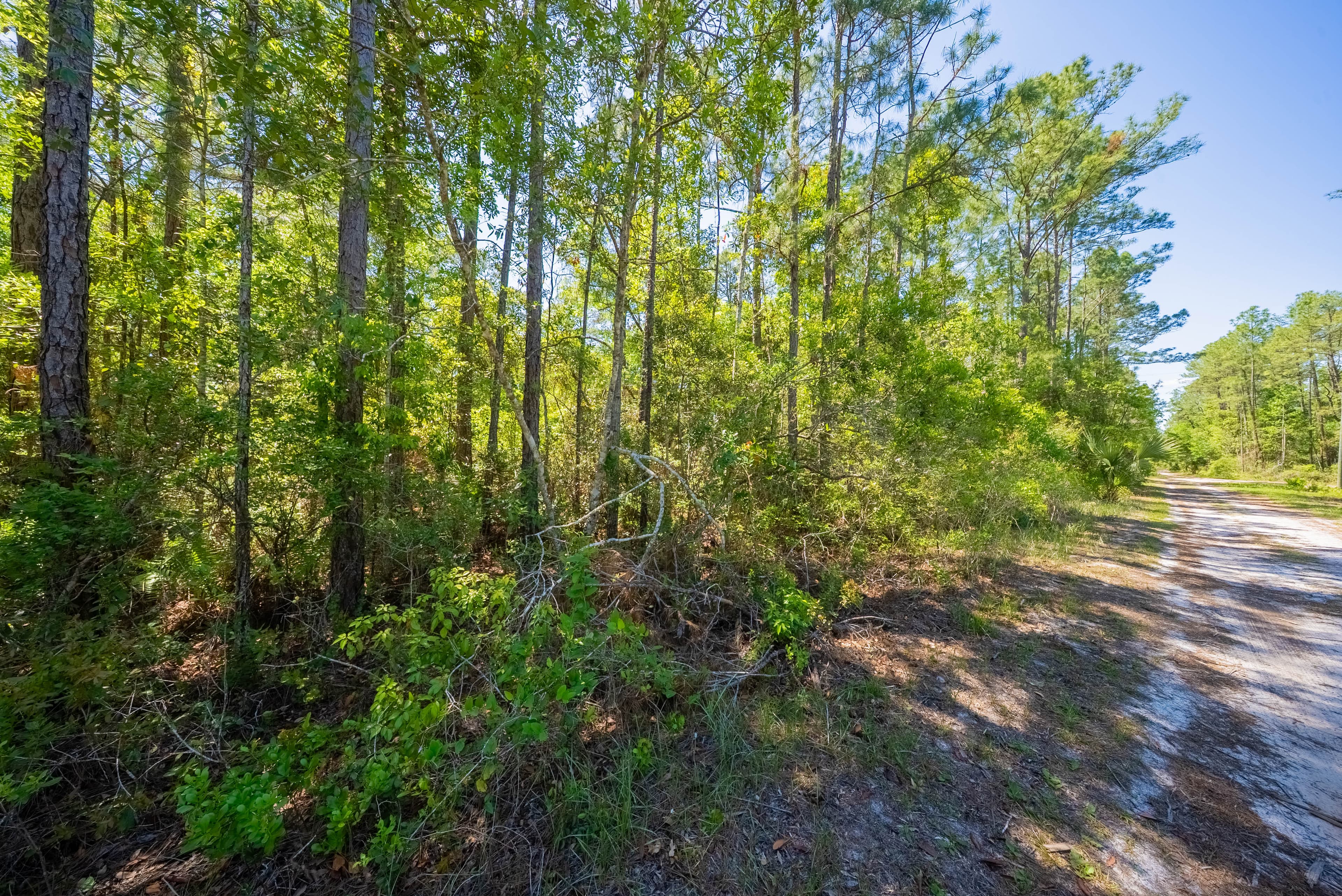 0.23 acres in Putnam County, Florida — item 18