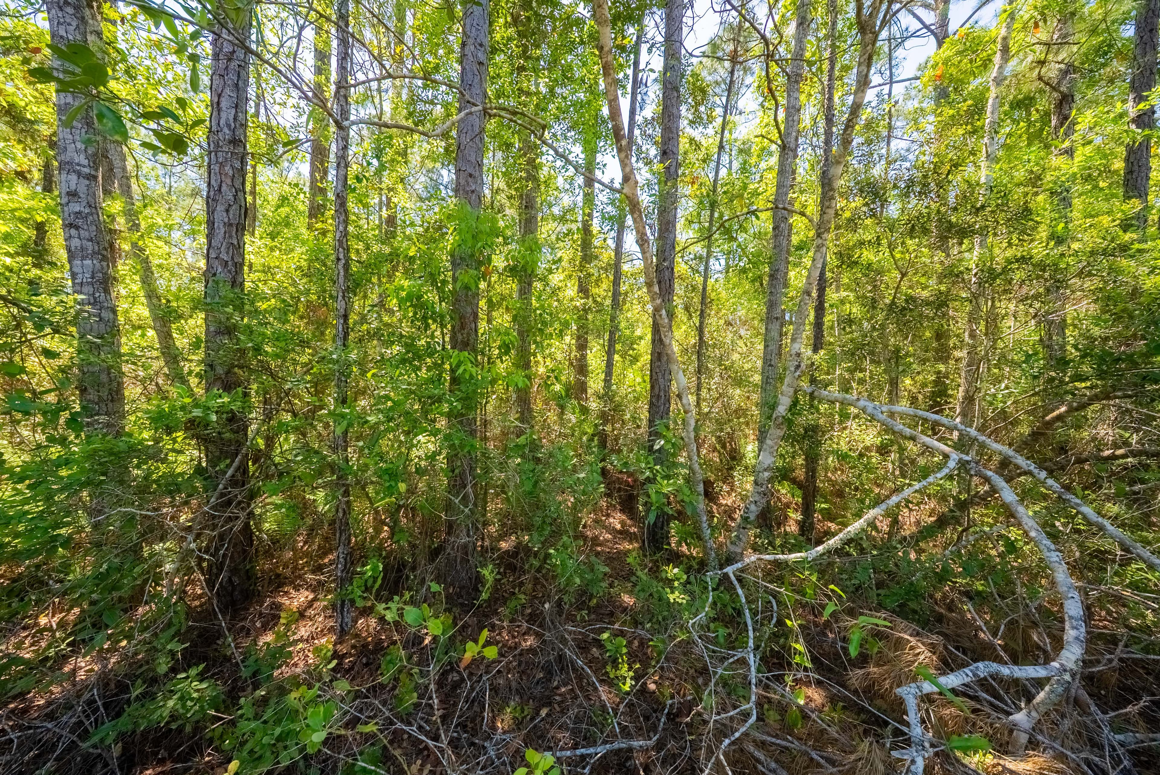 0.23 acres in Putnam County, Florida — item 19